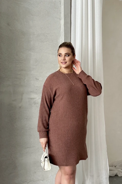 Büyük Beden Uzun Kollu Bisiklet Yaka Düz Kesim Elbise 100-189